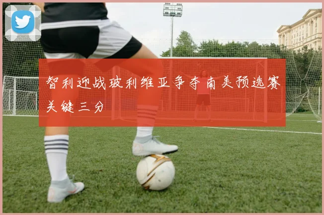 智利迎战玻利维亚争夺南美预选赛关键三分