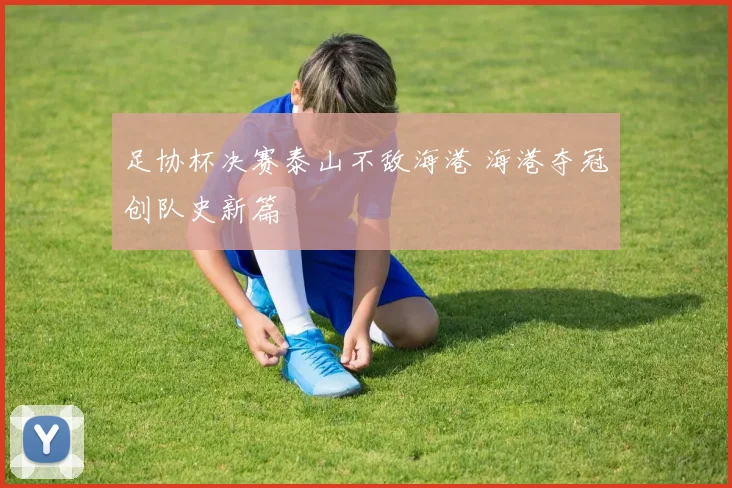 足协杯决赛泰山不敌海港 海港夺冠创队史新篇